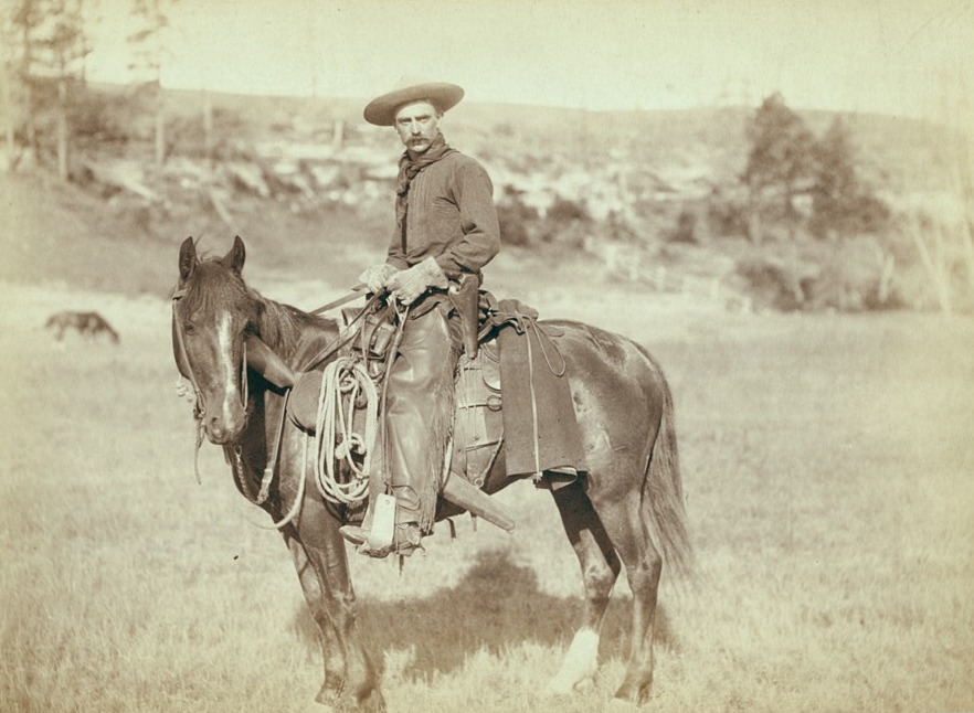 A cowboy on horseback with a coiled rope at his saddle, Dakota Territory, around 1888